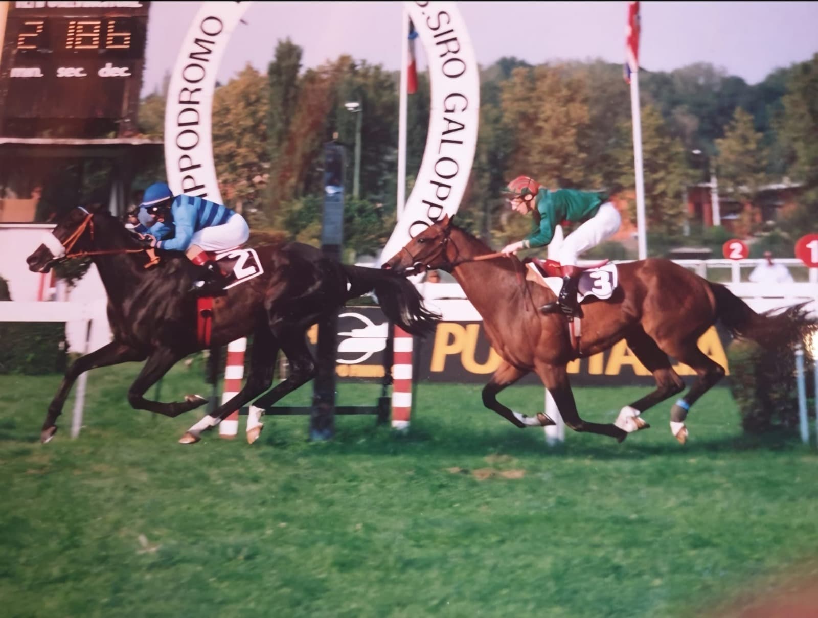 Massimiliano D'Auria - 2