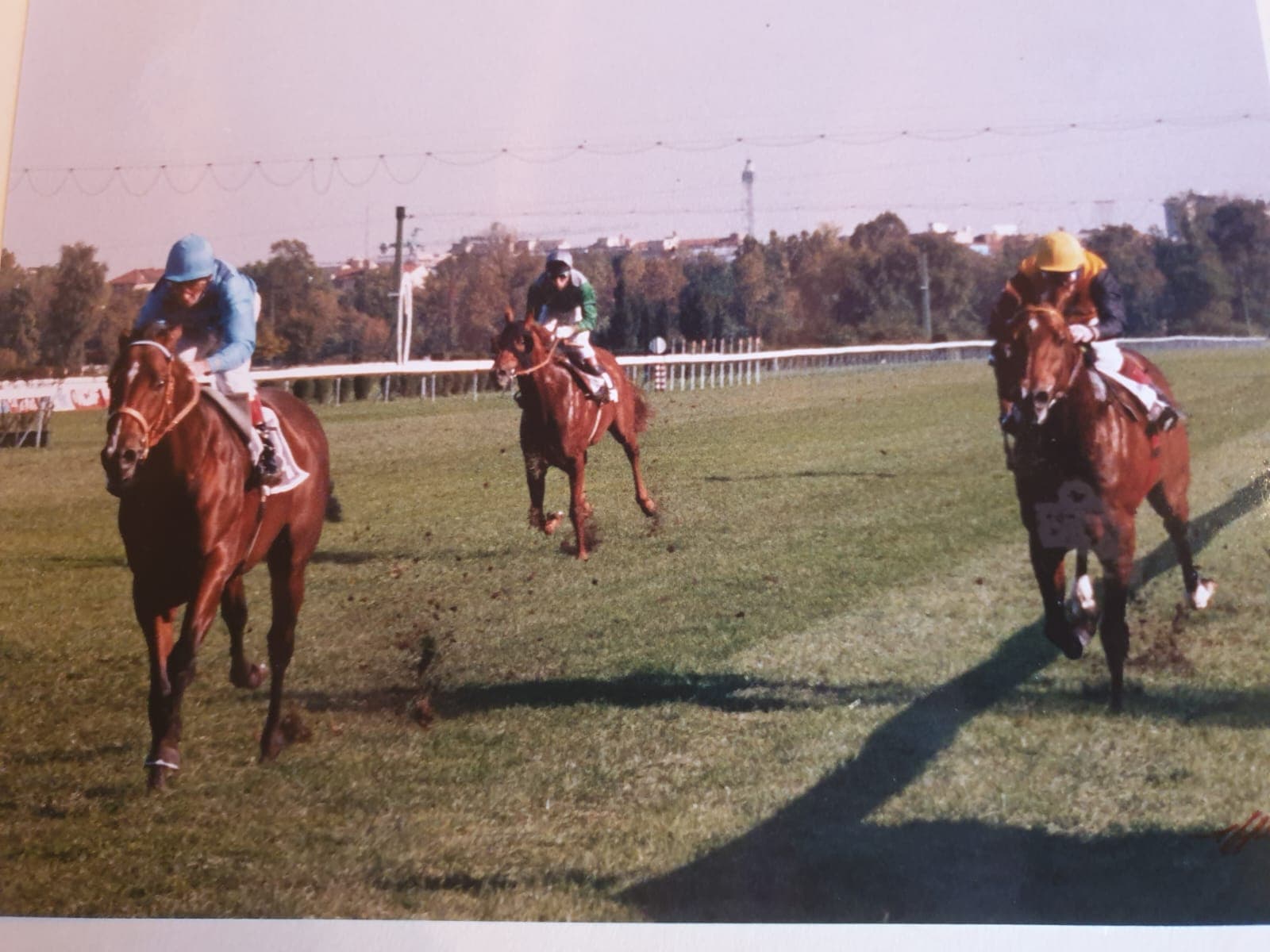 Massimiliano D'Auria - 4